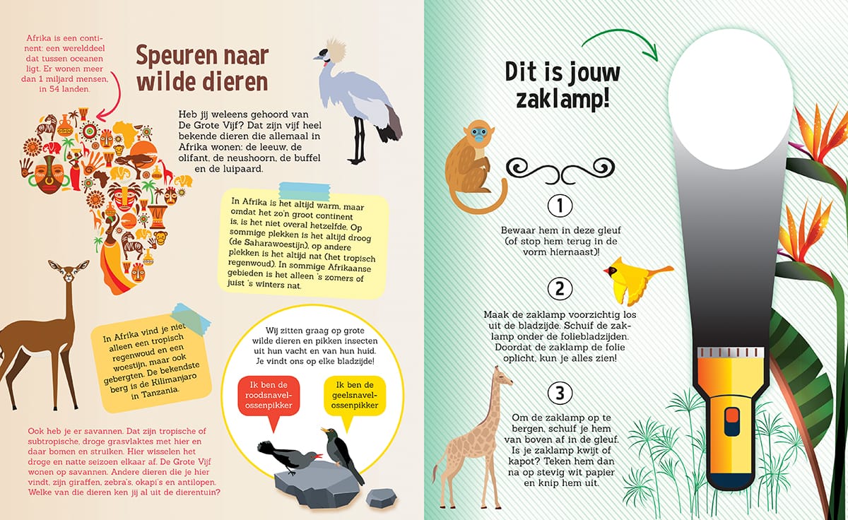 Zaklampboek speuren naar wilde dieren - Afbeelding 3