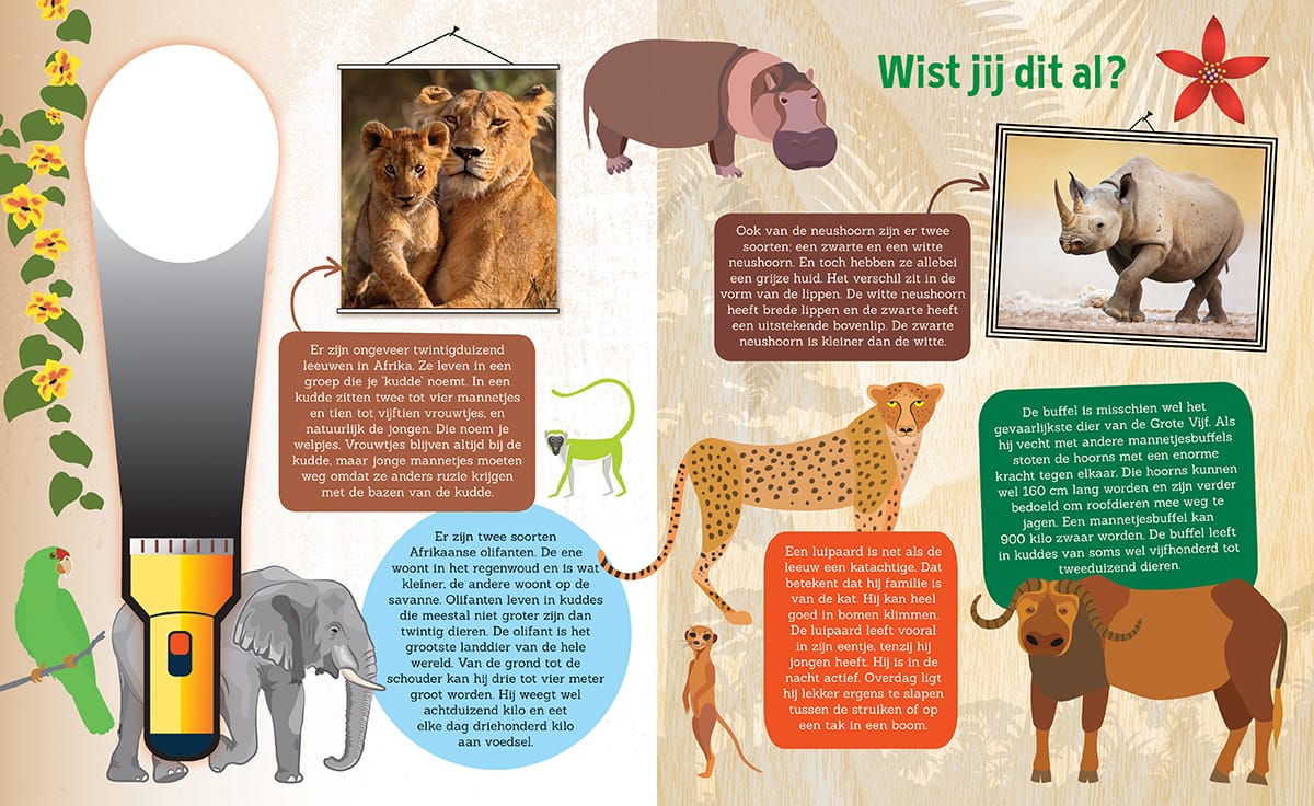 Zaklampboek speuren naar wilde dieren - Afbeelding 4