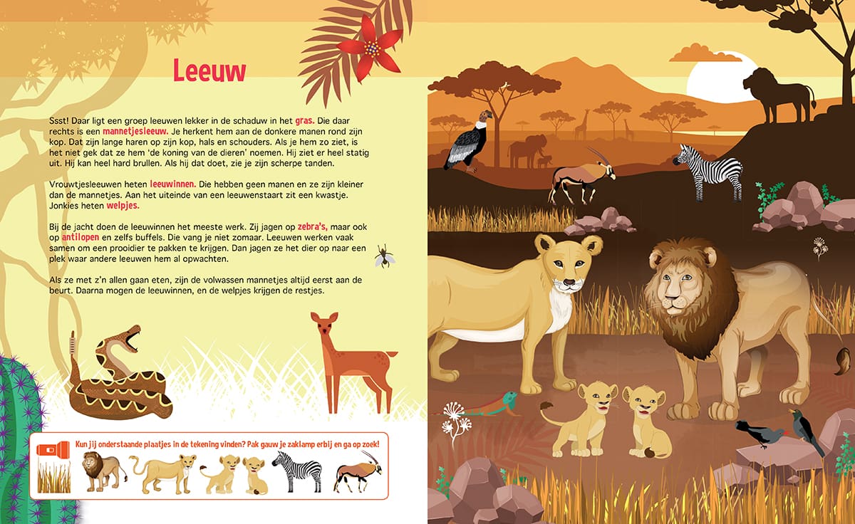 Zaklampboek speuren naar wilde dieren - Afbeelding 5